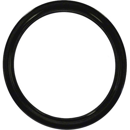 Ala-Pt ALA-PT APCO2012 The Swimquip O-Ring APCO2012